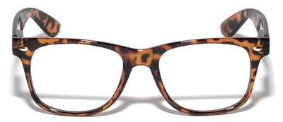 Progressive Reading Glasses - No Line or Bubble - Clear on Top Bifocals Reader